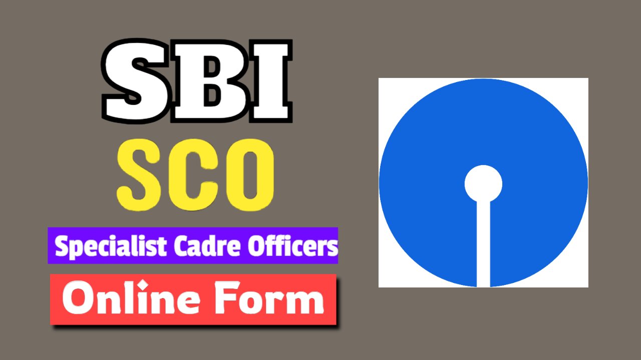 SBI Specialist Cadre Officers SCO Online Form 2024