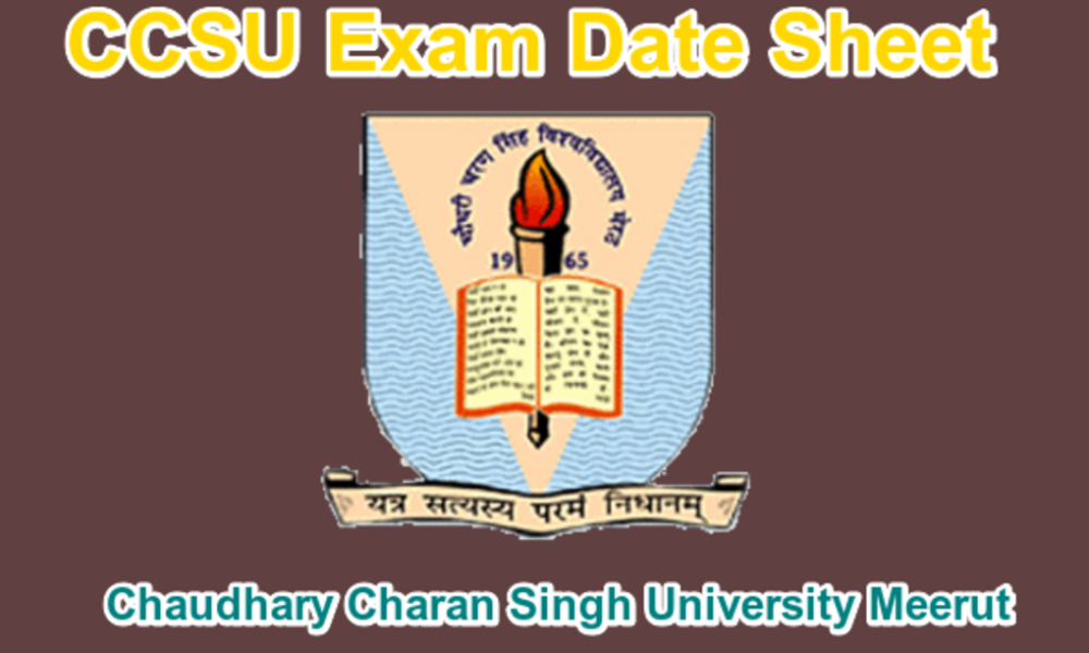 CCSU Date Sheet 20242025 NEP Odd Semester PDF Download