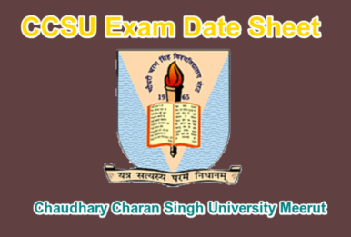 CCSU Date Sheet 2024 New PDF Download UG PG Exam Date