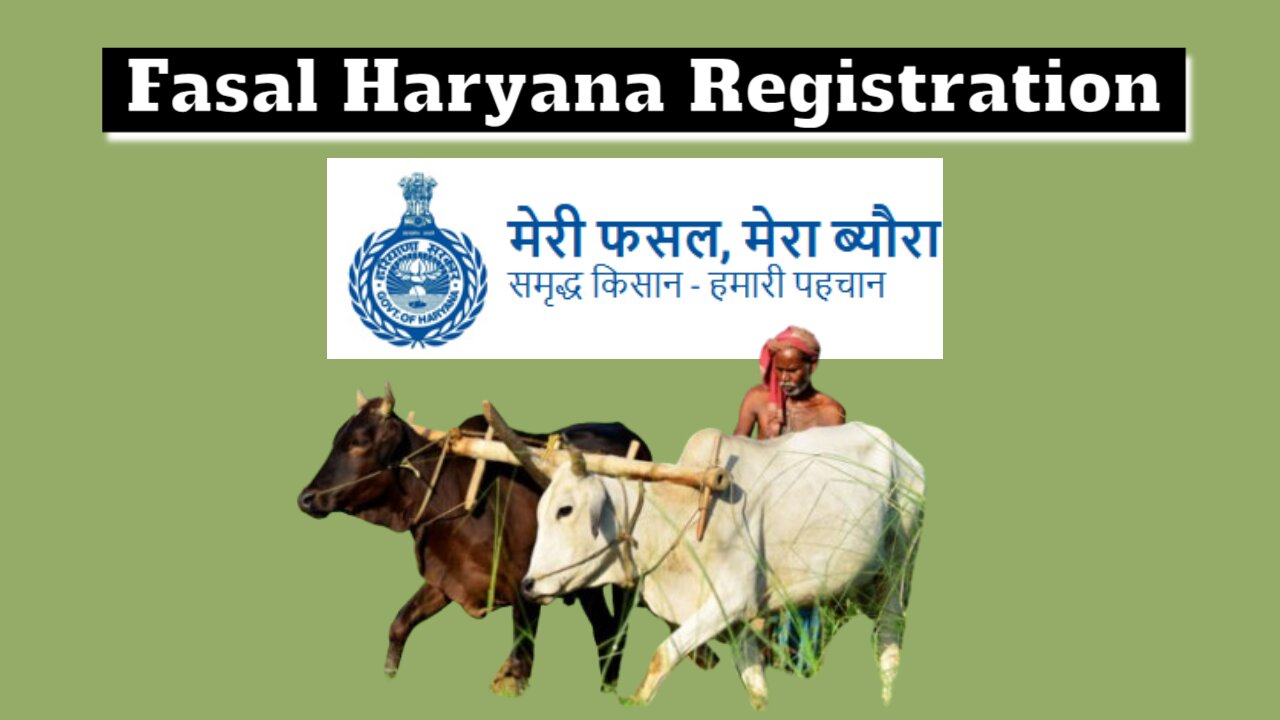 fasal haryana Meri Fasal Mera Byora