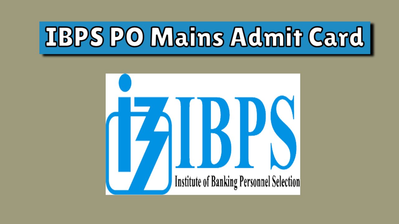 ibps po mains admit card 2024